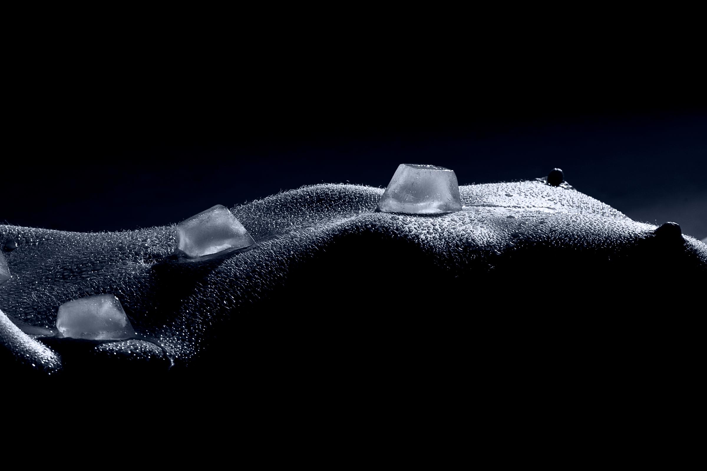 Bodyparts Fotostudio Lowkey mit Eis