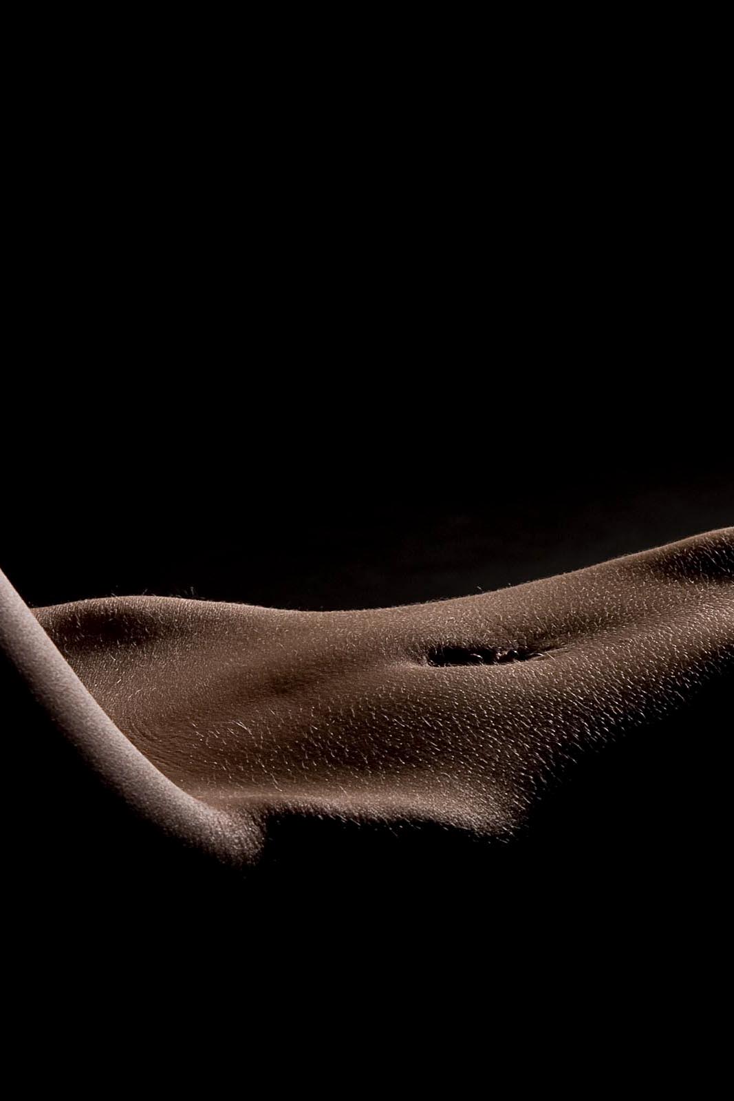 Bodypart Lowkey